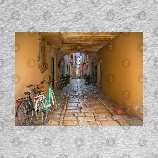 Covered Passageway in Rovinj, Croatia by jojobob